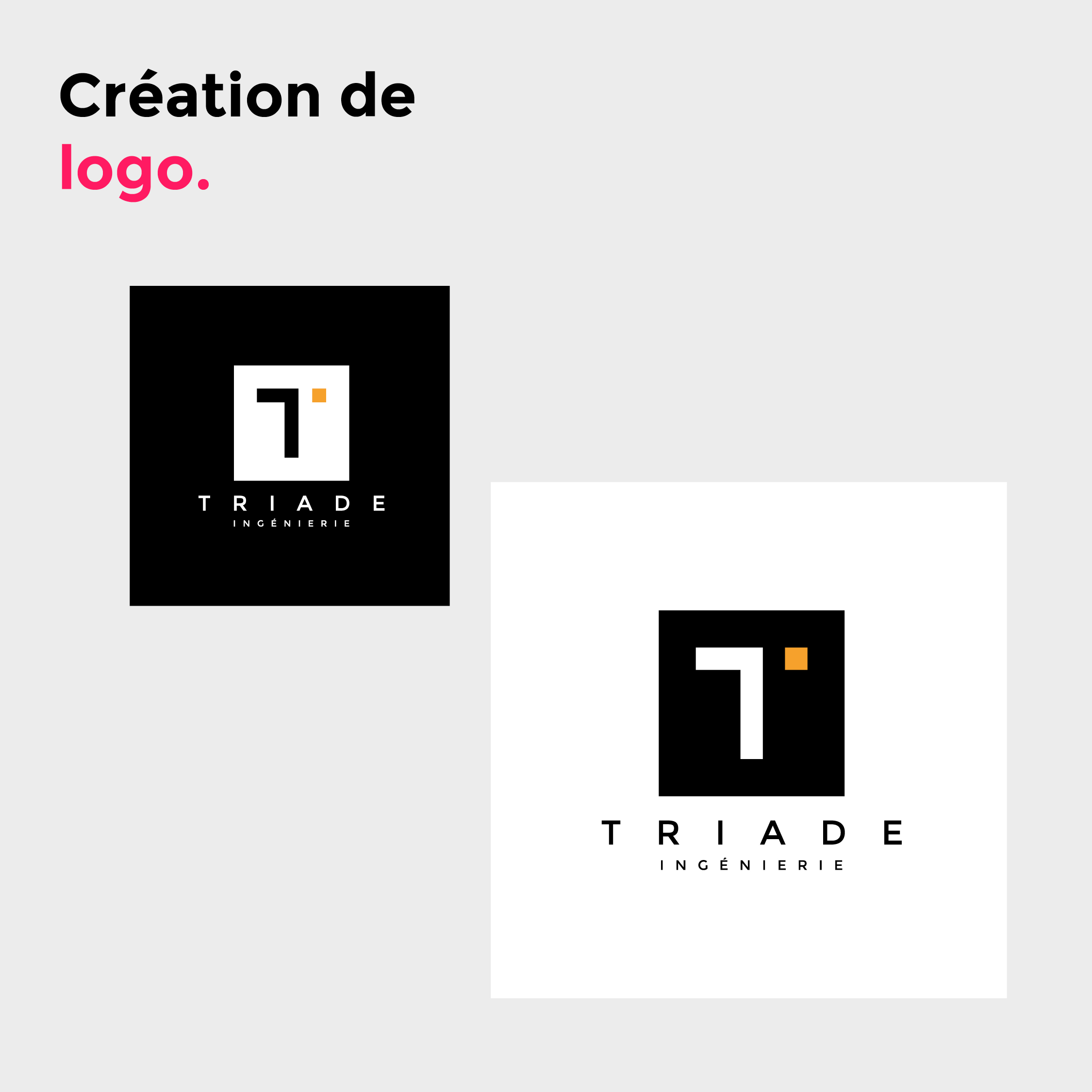 carre-gris-avec-deux-logos-triade-version-blanc-et-version-noir